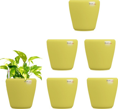 

Yuccabe Italia Stoic Yellow Self Watering Plant Container Set(Pack of 6, Plastic)