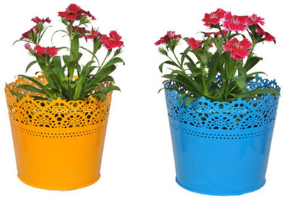 

TrustBasket Set Of 2 - Half Lace finish Yellow and Blue Plant Container Set(Pack of 2, Metal)