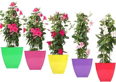 

TrustBasket Set of 5 Color full Floor Planter-Magenta,Yellow,Green,Purple and Red (12 Inch) Plant Container Set(Pack of 5, Metal)