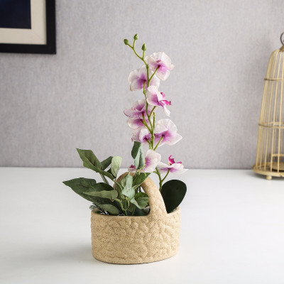 

Unravel India Plant Container Set(Ceramic)