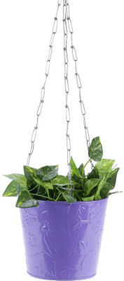 

Green Girgit Plant Container Set(Metal)