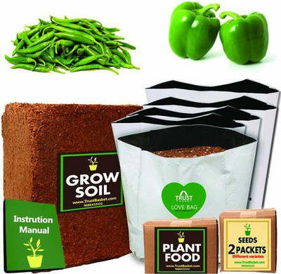 

TrustBasket ECONOMY SUPER SAVER GROWKIT FOR COMMON VEGETABLES (CHILLI GREEN,CAPSICUM) Plant Container Set(Plastic)