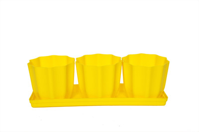

Planters Plant Container Set(Pack of 3, Plastic)