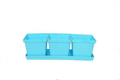 

Planters SKY BLUE GIFT A POTS (PACK OF 3 WITH TRAY) Plant Container Set(Plastic)
