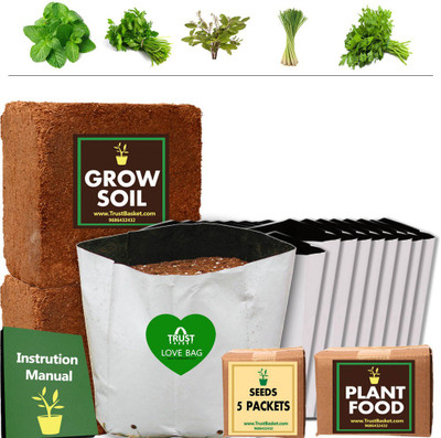 

TrustBasket ECONOMY SUPER SAVER GROWKIT FOR COMMON HERBS (MINT,TULSI,LEMONGRASS,PARSLEY,CORIANDER) Plant Container Set(Plastic)