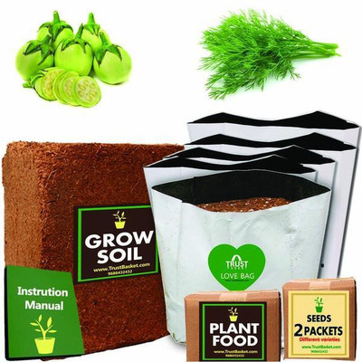 

TrustBasket Economy Starter Growkit for Common Vegetables (Brinjal Round,Dill) Plant Container Set(Plastic)