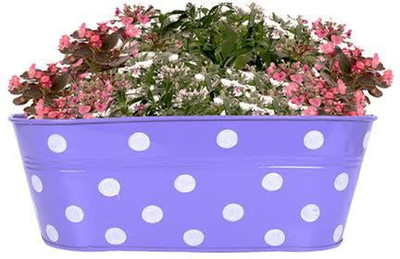 

TrustBasket DOTTED OVAL RAILING PLANTER - PURPLE Plant Container Set(Metal)