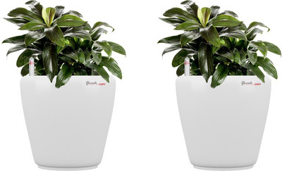 

Yuccabe Italia Plant Container Set(Pack of 2, Plastic)