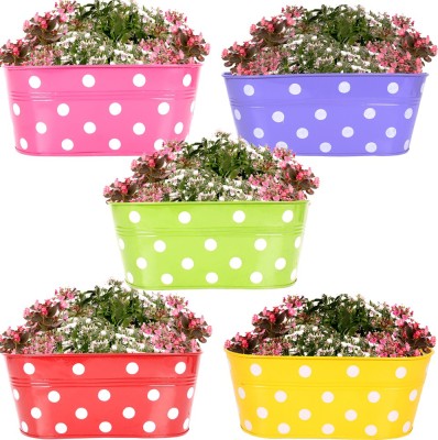 

TrustBasket SET OF 5 -DOTTED OVAL RAILING PLANTER - (MAGENTA, PURPLE, GREEN, RED, YELLOW) Plant Container Set(Pack of 5, Metal)