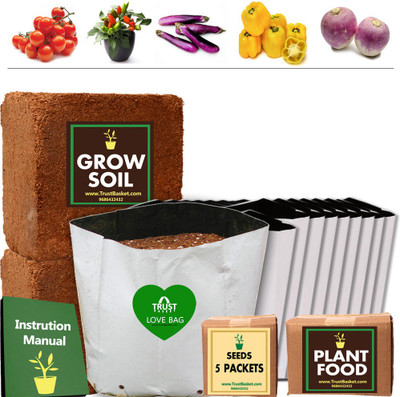 

TrustBasket ECONOMY SUPER SAVER GROWKIT FOR EXOTIC VEGETABLES (CHERRY TOMATO,CAPSICUM YELLOW,TURNIP,ORNAMENTAL CHILLI,BRINJAL LONG PURPLE) Plant Container Set(Plastic)