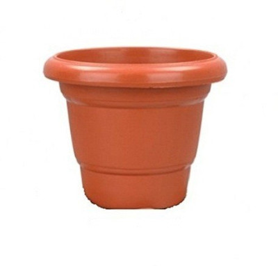 

Minerva Naturals 8'' POT SET OF 5 Plant Container Set(Pack of 5, Plastic)
