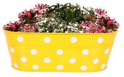TrustBasket DOTTED OVAL RAILING PLANTER - YELLOW Plant Container Set(Metal)