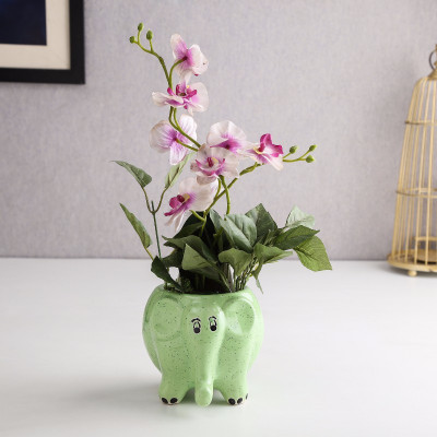 

Unravel India Plant Container Set(Ceramic)