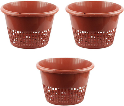 

orchid-tree Pastic Net Brown Pot 8" Dia Plant Container Set(Plastic)