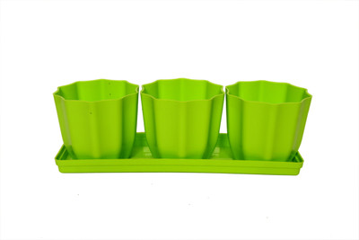 

Planters GREEN JAMES POTS (PACK OF 3 WITH TRAY) Plant Container Set(Pack of 4, Plastic)
