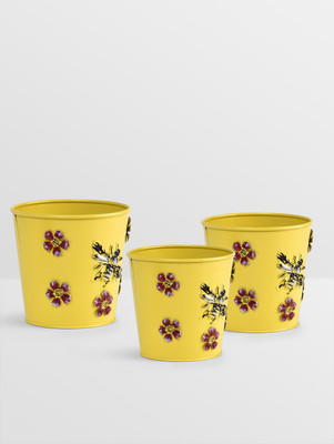 

Height Of Designs Plant Container Set(Pack of 3, Metal)