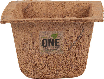 

one feet farm Indoor & out door coir gardening kit , medium size Square Spanish coir cups Plant Container Set(Pack of 2, Wood)