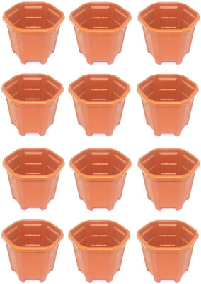 

RK Plant Container Set(Pack of 12, Plastic)