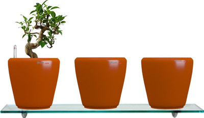 

Yuccabe Italia Combo for 3 Stoic Orange Self Watering planter Plant Container Set(Pack of 3, Plastic)