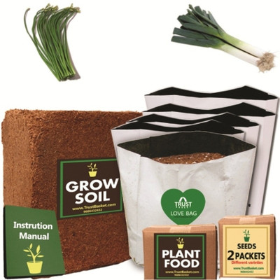 

TrustBasket Economy Starter Grow Kit for Green Vegetables (Garlic chives,Leek) Plant Container Set(Plastic)