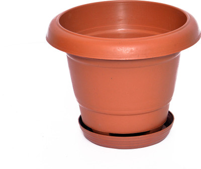 

Blessed Plant Container Set(Pack of 12, Plastic)
