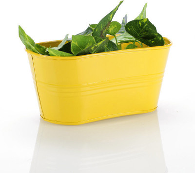 

Green Girgit Plant Container Set(Metal)
