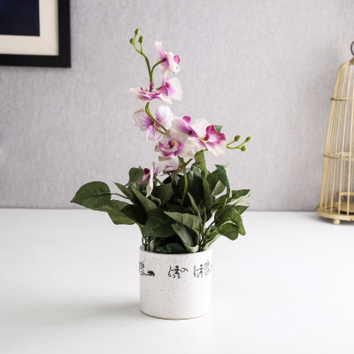 

Unravel India Plant Container Set(Ceramic)