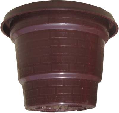 

Naina Plant Container Set(Pack of 6, Plastic)
