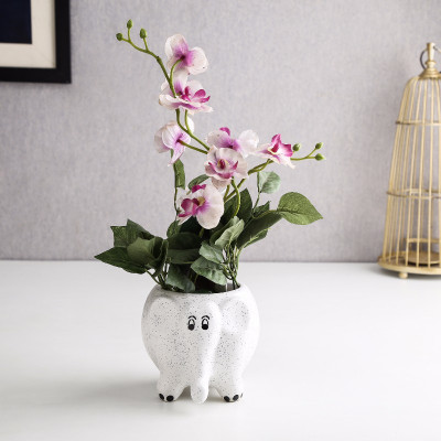 

Unravel India Plant Container Set(Ceramic)
