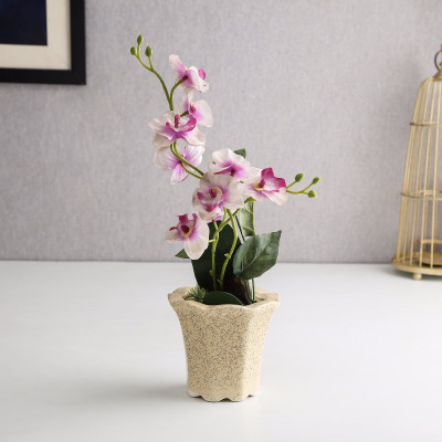 

Unravel India Plant Container Set(Ceramic)