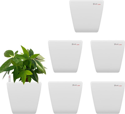 

Yuccabe Italia Stella White Self Watering Plant Container Set(Pack of 6, Plastic)