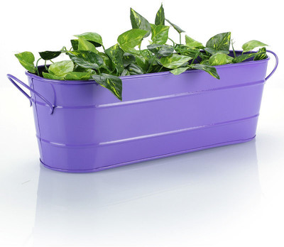 

Green Girgit Plant Container Set(Metal)