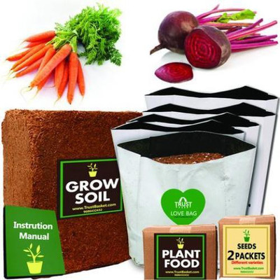

TrustBasket ECONOMY STARTER GROWKIT FOR ROOT VEGETABLES (CARROT,BEETROOT) Plant Container Set(Plastic)
