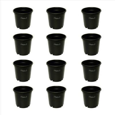 

Planters Black Nursery Plastic Pot 6" (Pack of 12) Plant Container Set(Pack of 12, Plastic)
