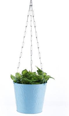 

Green Girgit Plant Container Set(Metal)