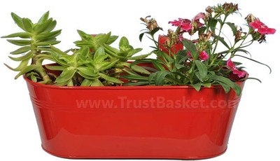 

TrustBasket Oval railing planter - Red Plant Container Set(Metal)