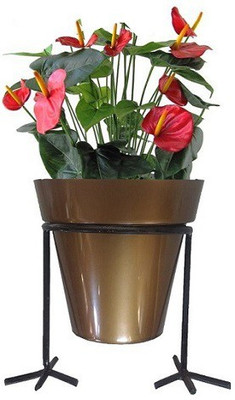 

MINERVANATURALS chicken leg Plant Container Set(Metal, Plastic)