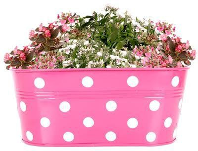 TrustBasket DOTTED OVAL RAILING PLANTER - MAGENTA Plant Container Set(Metal)
