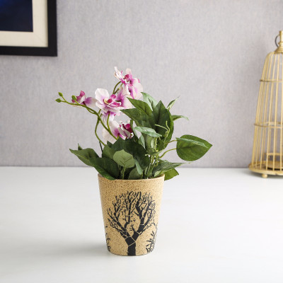 

Unravel India Plant Container Set(Ceramic)