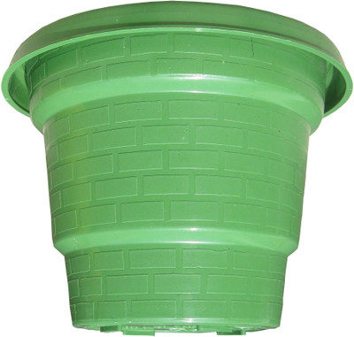 

Naina Plant Container Set(Pack of 6, Plastic)