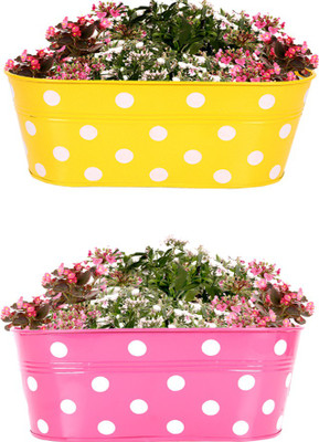 

TrustBasket SET OF 2 -DOTTED OVAL RAILING PLANTER - (MAGENTA, YELLOW) Plant Container Set(Metal)