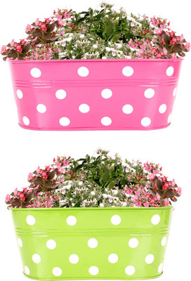 TrustBasket SET OF 2 -DOTTED OVAL RAILING PLANTER - (MAGENTA, GREEN) Plant Container Set(Pack of 2, Metal)