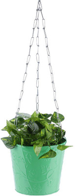 

Green Girgit Plant Container Set(Metal)