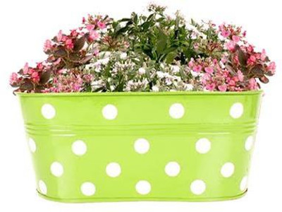 TrustBasket DOTTED OVAL RAILING PLANTER - GREEN Plant Container Set(Metal)