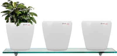 

Yuccabe Italia Combo for 3 Stoic White Self Watering planter Plant Container Set(Pack of 3, Plastic)