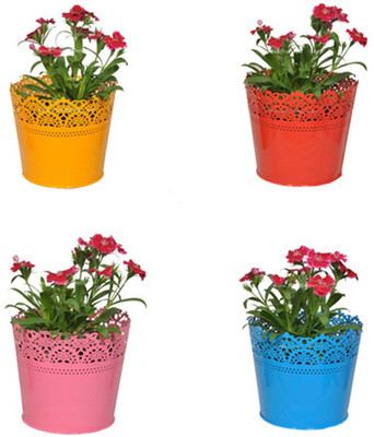 TrustBasket Set Of 4 - Half Lace finish( Pink, Blue,Yellow,Red) Plant Container Set(Pack of 4, Metal)