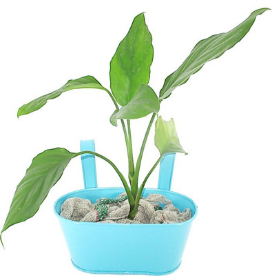 

RoyaL Indian Craft Hanging Oval Shape Plant Container(Metal, External Height - 11 cm), Blue