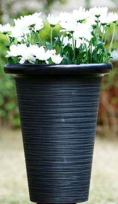 

AGRILABH HOME & KITCHEN GARDEN Plant Container(Plastic, External Height - 20 cm), Black