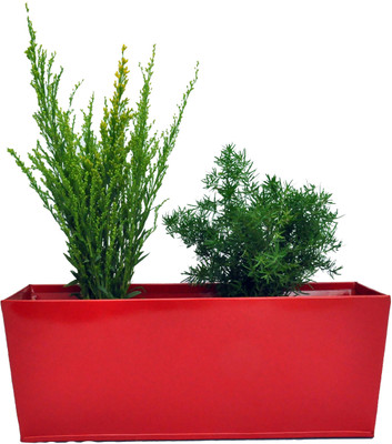 

First Smart Deal Plant Container(Metal, External Height - 15 cm), Red