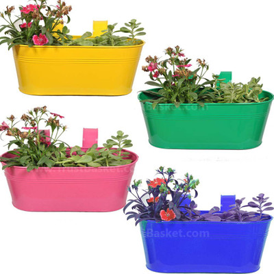 

TrustBasket Set of 4 - Oval Railing Planter -(Magenta,Blue,Yellow,Green) Plant Container(Metal, External Height - 12.7 cm), Blue;green;pink;yellow